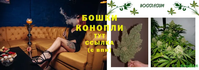 Конопля Ganja  Уржум 